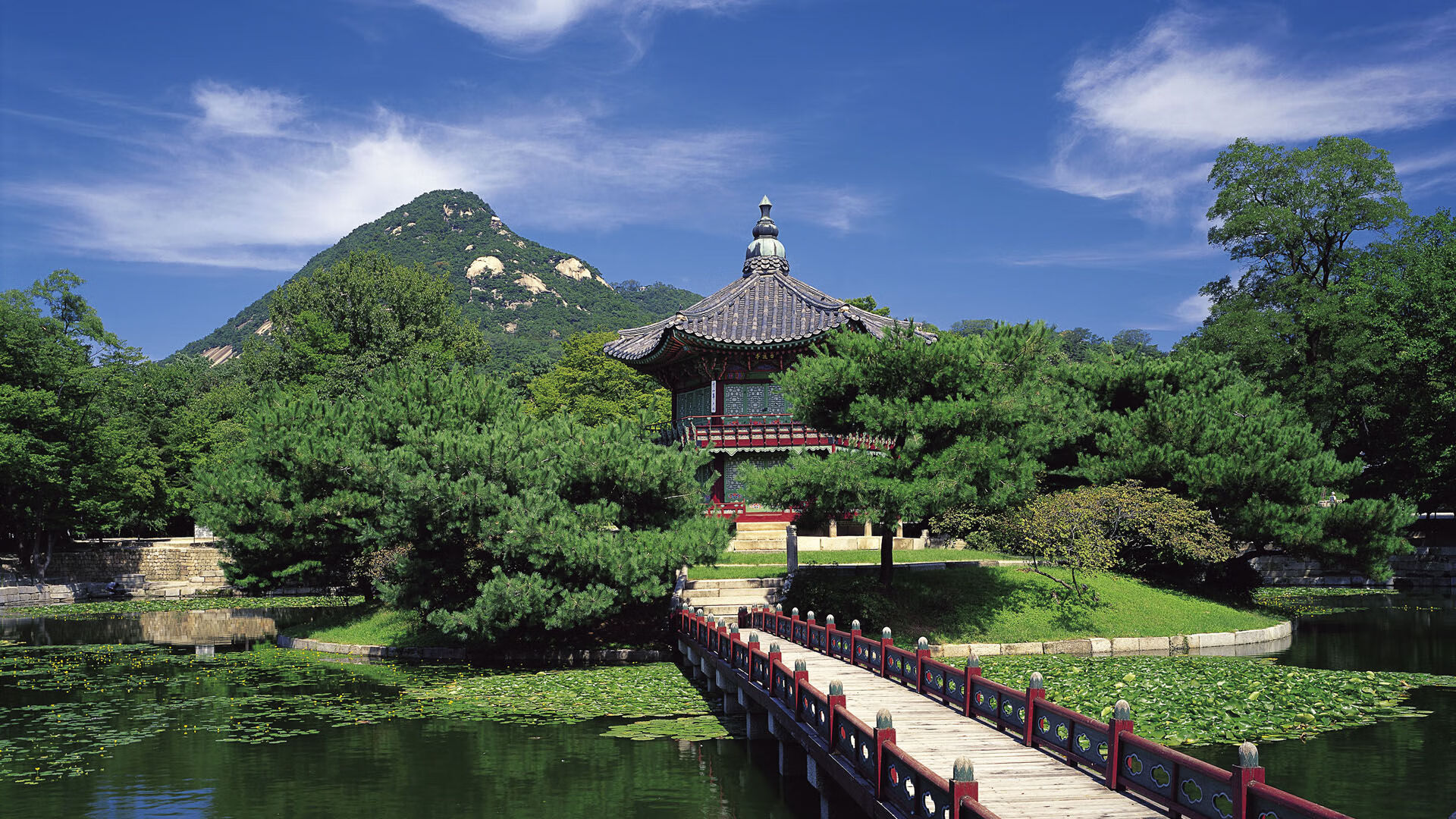 世界举重康复名师驻点教学第230站成果汇编发布,世界举重比赛冠军